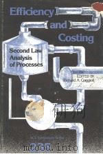 Efficiency and Costing（ PDF版）