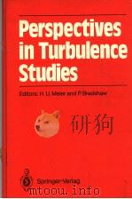 Perspectives in Turbulence Strdies（ PDF版）