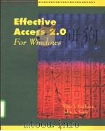 Effective Access 2.0 for windows（ PDF版）