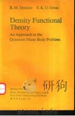 Density Functional Theory     PDF电子版封面  7506215595   