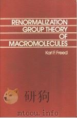 RENORMALIZATION GROUP THEORY OF MACROMOLECULES（ PDF版）