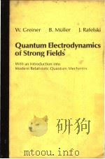 Quantum Electrodynamics of Strong Fields（ PDF版）