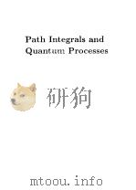 Path Integrals and Quantum Processes PDF电子版封面
