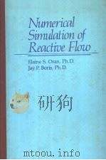 Numerical Simulation of Reactive Flow PDF电子版封面