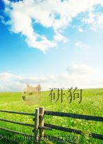 Grundlagen der Eigenspannungen PDF电子版封面