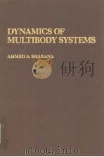 DYNAMICS OF NULTIBODY SYSTEMS PDF电子版封面