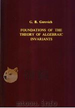 FOUNDATIONS OF THE THEORY OF ALGEBRAIC INVARIANTS PDF电子版封面