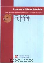 Progress in Silicon Materials:From Microelectronics to Photovoltaics and Optoelectronics PDF电子版封面 7030131150 杨德仁编