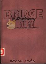 BRIDGE TO PROFICIENCY（ PDF版）