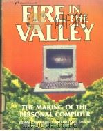 FIRE IN THE VALLEY PDF电子版封面