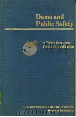Dams and Public Safety PDF电子版封面