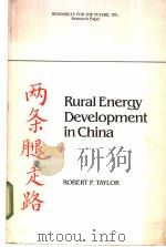 Rural Energy Development in China PDF电子版封面