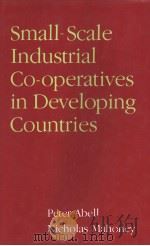 Small-Scale Industrial Producer Co-operatives in Developing Countries PDF电子版封面 PETER ABELL NICHOLAS MAHONEY