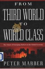 From Third World to World Class The Future of Emerging Markets in the Global Economy PDF电子版封面 0738201324 PETER MARBER