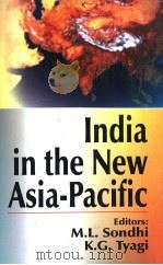India in the New Asia-Pacific PDF电子版封面 8170491290 M.L.Sondhi K.G.Tyagi