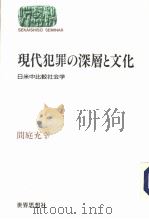 现代犯罪の深层と文化：日米中比较社会学（1994年07月第1版 PDF版）