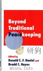 Beyond Traditional Peacekeeping（1995 PDF版）