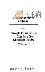 Sample Introduction in Capillary Gas Chromatography Volume 1 PDF电子版封面 P.Sandra