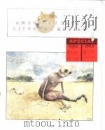 THE AMERICAN RIVER LITERARY REVIEW PDF电子版封面