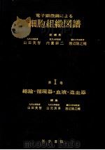 电子显微镜による细胞组织图谱  第I卷  総论·循环器·血液·造血器（1967年03月第1版 PDF版）