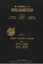 电子显微镜による细胞组织图谱  第III卷  泌尿器·男性性器·女性性器（1967年09月 PDF版）