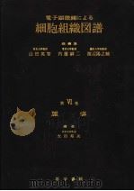 电子显微镜による细胞组织图谱  第VI卷  腫疡（1971年08月 PDF版）