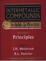 INTERMETALLIC COMPOUNDS:Principles and Practice Volume 1 PDF电子版封面