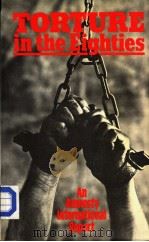 TORTURE IN THE EIGHTIES   1984  PDF电子版封面  0855207817   