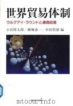 世界贸易体制：ウルグァイ·ラウンドと通商政策（ PDF版）