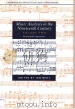 Music Analysis in the Nineteenth Century  volume Ⅱ Hermeneutic Approaches（1994 PDF版）