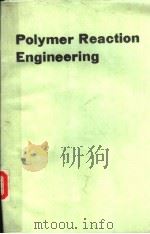 Polymer Reaction Engineering:Proceedings of the Third Berlin International Workshop on Polymer React（ PDF版）