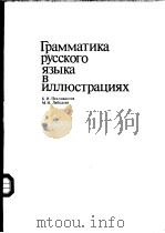 Грамматика русского языка В иллюстрациях PDF电子版封面 К.И.Пехливанова М.Н.Лебедева
