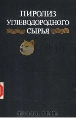 пиролиз　углЕводородного　сыръя     PDF电子版封面     
