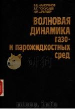 ВОЛНОВАЯ ПИНАМИКА газо-и парожижидкостных сред PDF电子版封面 5283000559 Б.Г.ПОКУСАЕВ И.Р.ШРЕЙБЕР