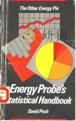 ENERGY PROBE‘S STATISTICAL HANDBOOK:THE OTHER ENERGY PIE PDF电子版封面 0919849016 DAVID I.POCH