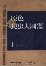 原色昆虫大图鉴  第一卷  （蝶·蛾篇）（昭和34年05月第1版 PDF版）