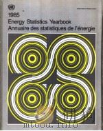 Energy Statistics Yearbook Annuaire des statistiques de l'energie 1985 1987 PDF电子版封面 9210611128