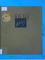 ERNST BURGER FRANZ LISZT EINE LEBENSCHRONIK IN BILDERN UND DOKUMENTEN VORWORT ALFRED BRENDEL 1986 PDF电子版封面 3417771603