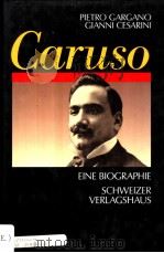 PIETRO GARGANO/GIANNI CESARINI Caruso 1990 PDF电子版封面 3726366482