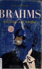 JOHANNES BRAHMS Sein Leben und Schaffen PDF电子版封面