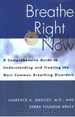 Breathe Right Now（ PDF版）