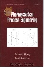 Pharmaceutical Process Engineering PDF电子版封面 0824702980