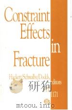 Constraint Effects in Fracture PDF电子版封面 0803114818
