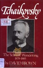 TCHAIKOVSDY:THE YEARS OF WANDERING 1878-1885 VOLUME Ⅲ PDF电子版封面 0393023117 DAVID BROWN