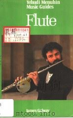 YEHUDI MENUHIN MUSIC GUIDES FLUTE PDF电子版封面 0356047121 JAMES GALWAY