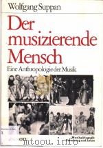 Musikpadagogik:Forschung und Lehre herausgegeben von Sigrid Abel-Struth PDF电子版封面 3795717094
