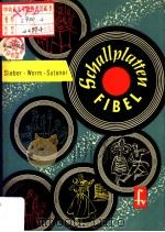 Schallplattentivel  Wissenswertes von der Schallplatte mit einem musik-geschichtlichen AbriB（ PDF版）