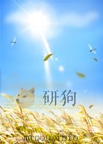 SYMPHONY PDF电子版封面 PERCY M.YOUNG
