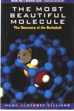 THE MOST BEAUTIFUL MOLECULE（ PDF版）