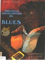 NOUVELLE ENCYCLOPEDIE DU BLUES（ PDF版）